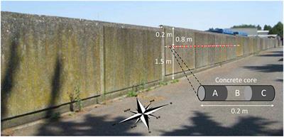 Assessing the Capability of Analytical Carbonation Models to Propagate Uncertainties and Spatial Variability of Reinforced Concrete Structures